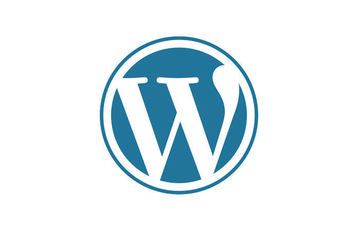 wordpress ve seo uyumlu web sitesi: içeriğinizi öne çıkarın